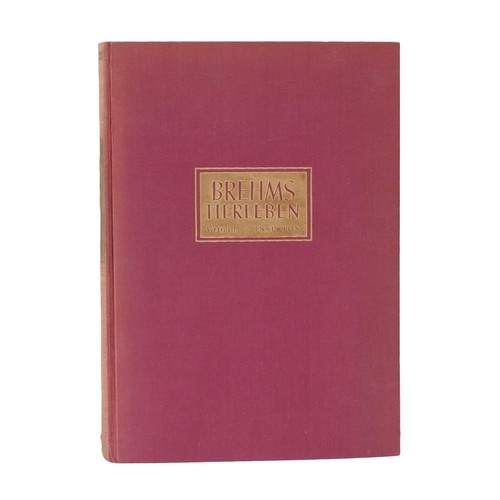 Buch brehms tierleben - buch, tierleben"