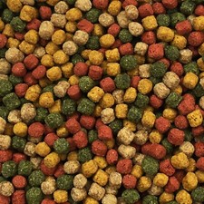 Koifutter Mix 10 kg *4 Sorten Multi Mix* Pelletgröße 3mm - 6mm Koi Fischfutter