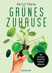 Grünes zuhause der - grünes, zuhause: