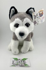 🔥 Pets2Cuddle Husky Hund