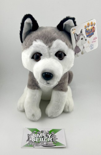 Pets2cuddle husky hund - 🔥,