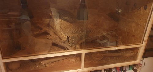 Osb terrarium 150x60x60cm - osb,