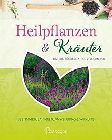 Heilpflanzen kräuter - heilpflanzen,