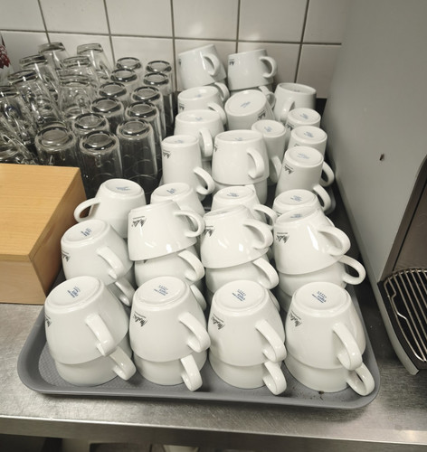 Melitta cafina - , (
