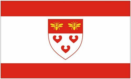 Fahne flagge ladbergen 90 - ladbergen,
