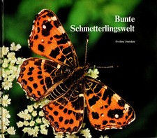 Europa-Bilderdienst Buch (komplett) - Bunte Schmetterlingswelt