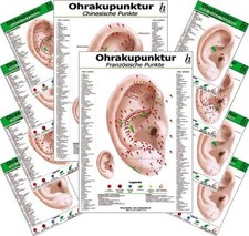 Ohrakupunktur -professional-