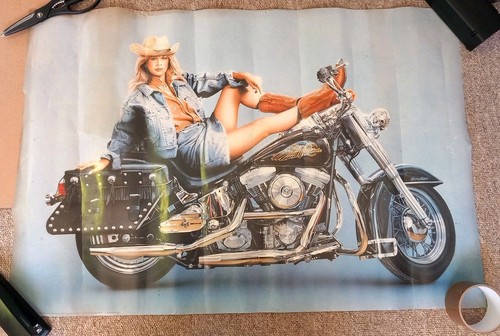 Vintage athena harley davidson - vintage,