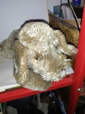 Alter Steiff- Hund-Floppy