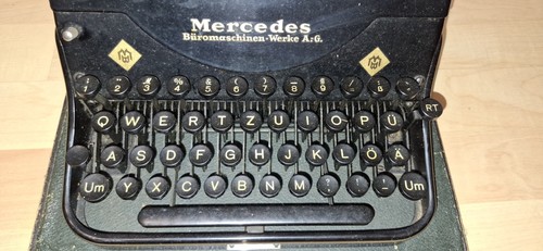 Mercedes superba - mercedes,
