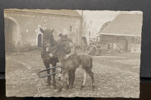 Foto gutshof bauer pferd - gutshof,
