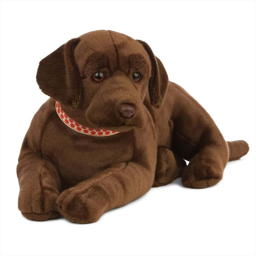 Xxl premium labrador - premium,
