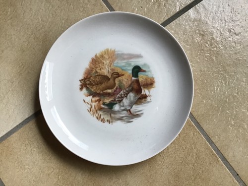 Vintage speiseteller flach - vintage,