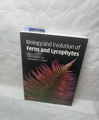 Biology evolution ferns - evolution,