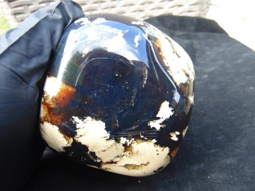 Blauer sumatra bernstein 100 - blauer, bernstein: