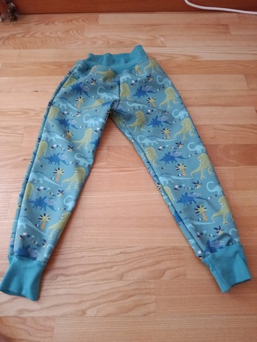 Matschhose 116 dinos - ,