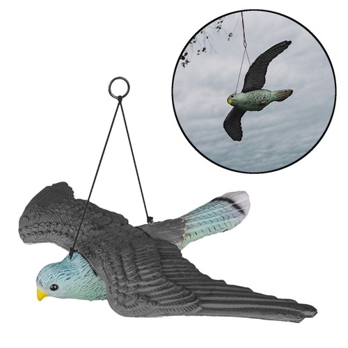 Greifvogel attrappe - greifvogel,