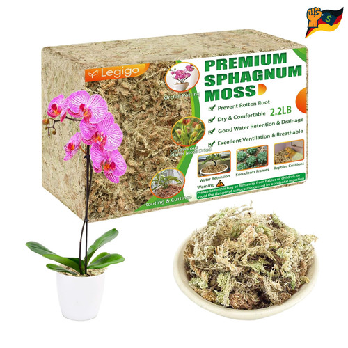 Sphagnummoos 1kg orchideenmoos - sphagnummoos,