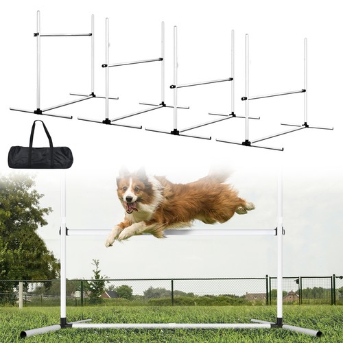 Pcs hunde agility - hunde, training