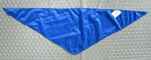 Fdj halstuch blau original - fdj,