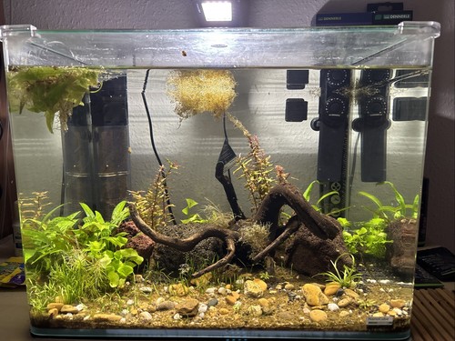 Dennerle scapers tank 55l - dennerle,