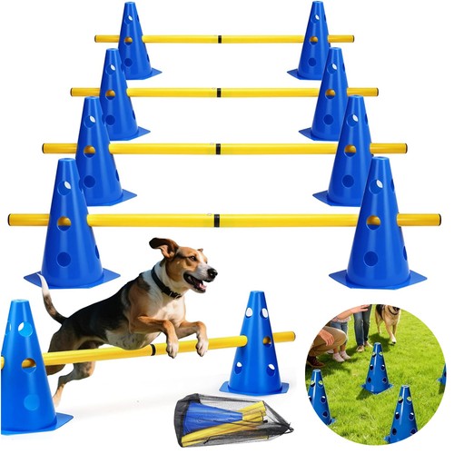 Hundetraining hürden set - hundetraining,