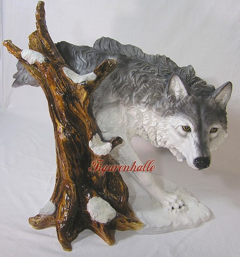 Wolf grau indianer - grau,