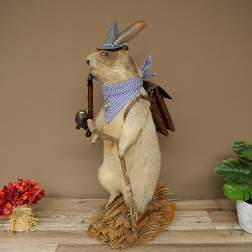 Wolpertinger murmeltier - wolpertinger,