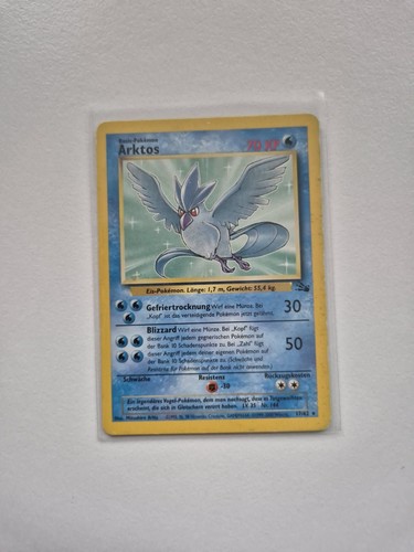 Arktos fossil - 17/62, /