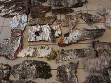 Birke, Birkenrinde, Baumrinde, 1kg , große Stücke, ca. 10-20 cm, Rinde, basteln,