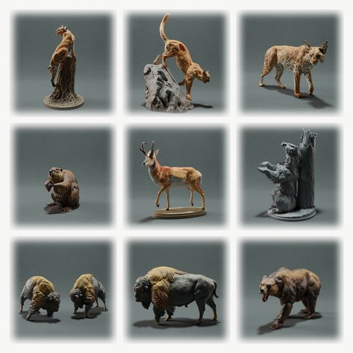 Tiere aus nordamerika - aus,