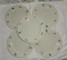 5 x  Seltmann Weiden