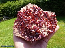 Großer Vanadinit von Mibladen Marokko