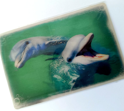 Hologramm wackel karte - wackel-karte, "