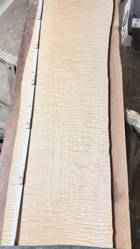 Riegelahorn furnier aaa 45 - riegelahorn,