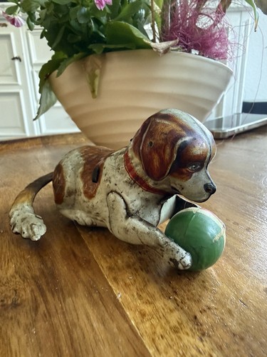 Köhler hund mit - mit, ball
