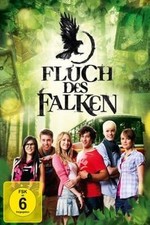 Fluch des Falken [5 DVDs] von Wolfram von Bremen | DVD | Zustand gut