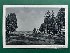 AK Lüneburger Heide Landschaft bei Lutterloh 1927 #1618