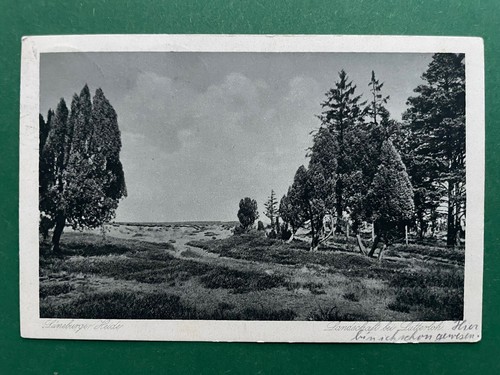 Lüneburger heide - lüneburger,