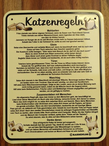 Blechschild schild katze - |,