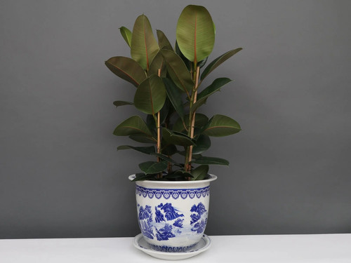 China porzellan blumentopf - porzellan,