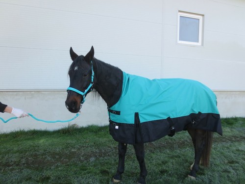 Winterdecke 1200d 400g - winterdecke,