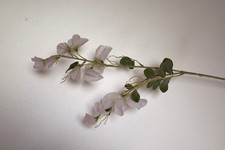 Wicken Blütenzweig weiß 70