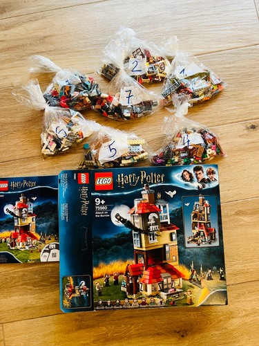 Lego harry potter 75980 - harry,