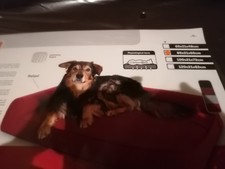 Orthopädisches Hundebett NEU
