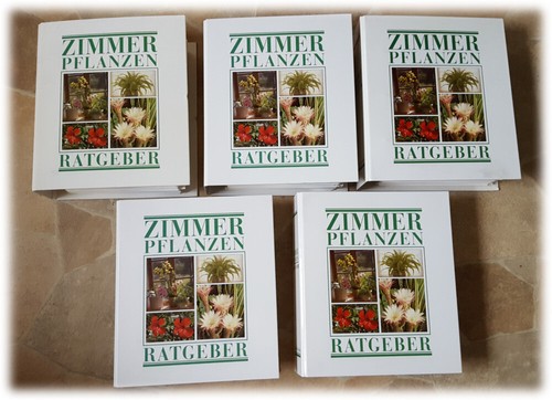 Zimmerpflanzen ratgeber - zimmerpflanzen,