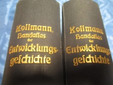 Bilder - Atlas der Entwicklungsgeschichte des Menschen von  1907 , Antik , R 14