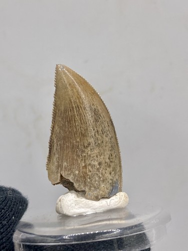 2 7cm top - 1,06''/2,7cm, qualitÄt