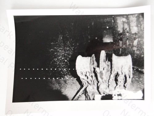 Rms titanic schiffswrack bug - rms,