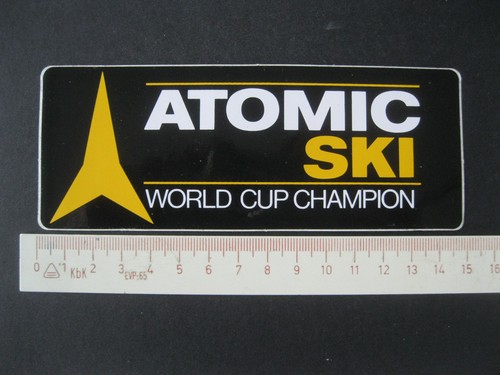Atomic ski world cup - cup, champion